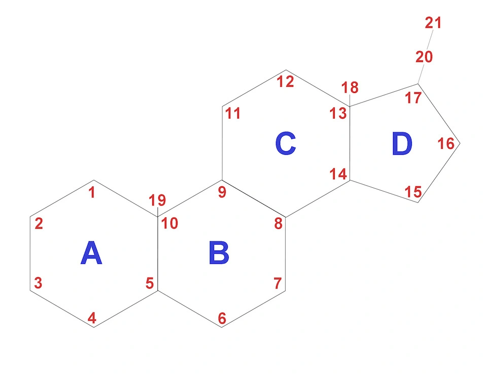 basic steroid structure