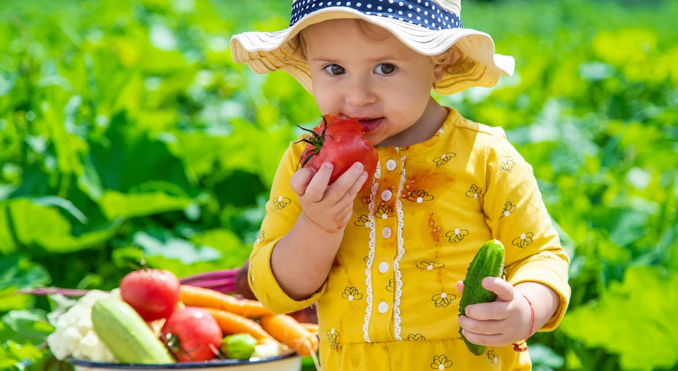 Child in a vegetable garden: good habits for a healthy and balanced diet start early