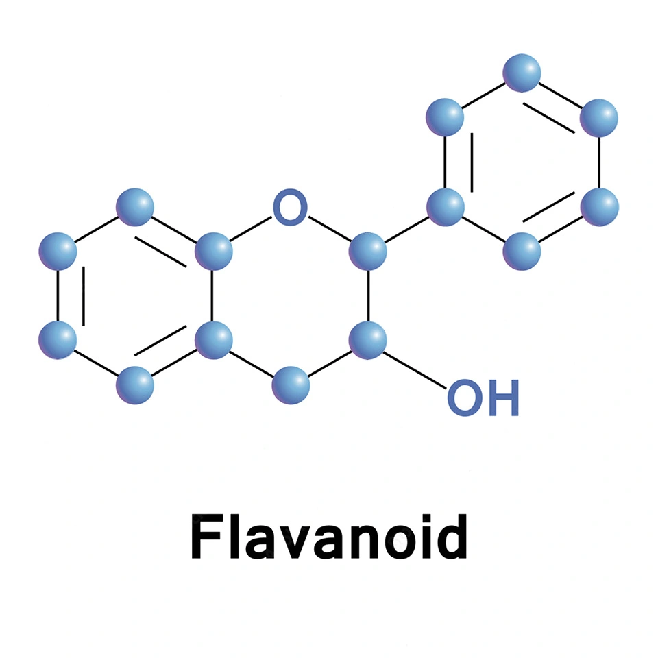 What are antioxidants: Flavanoid
