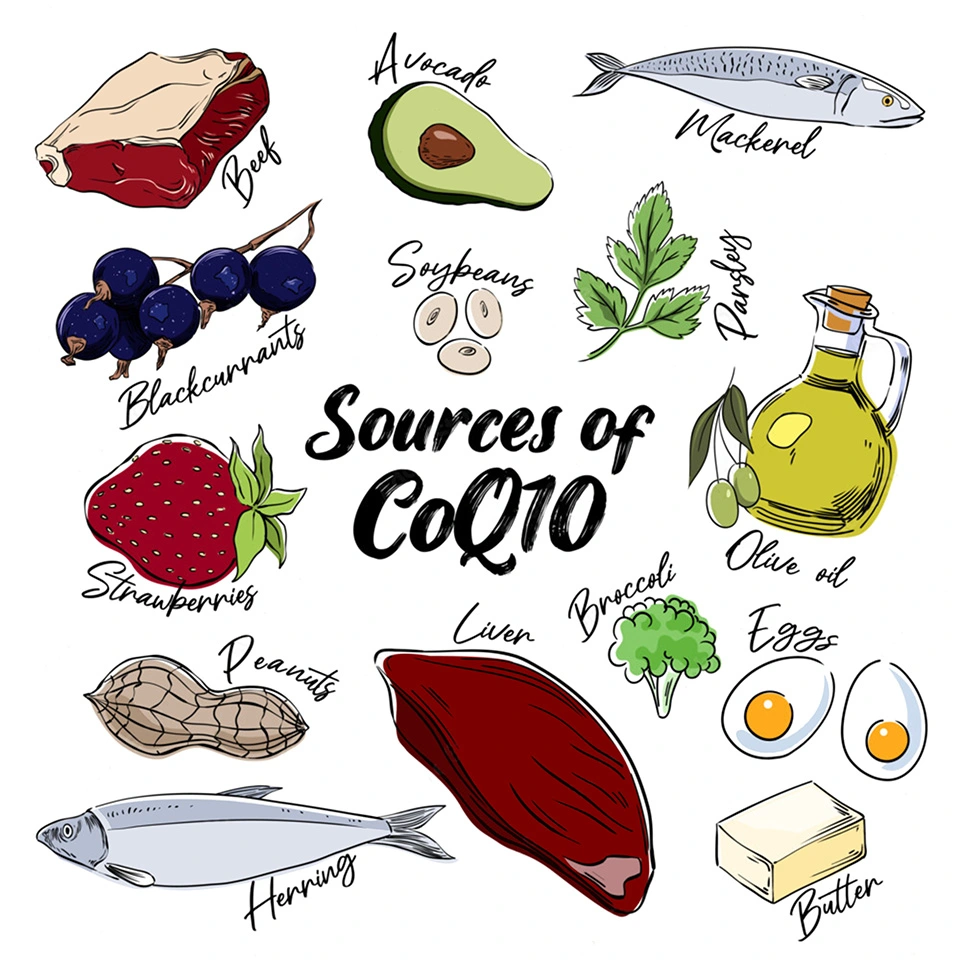What are antioxidants: sources of Coenzyme Q10