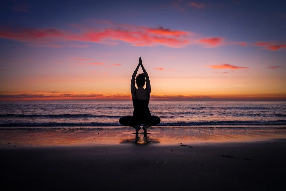 Adopting an Antioxidant Lifestyle: Strategies for Nourishing Health and Vitality