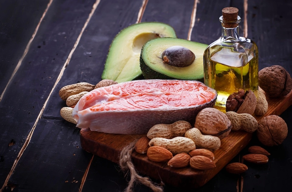 Introduction to Fats and Their Role in Metabolism